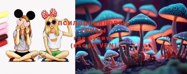 прущие крисы Абинск